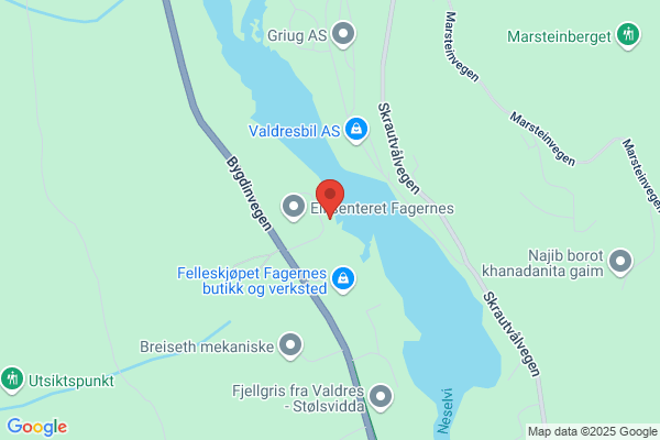 Aetat Fagernes
