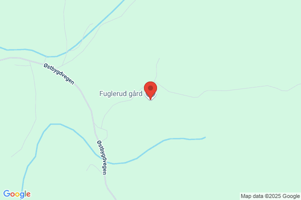 Fuglerud Hundetrening