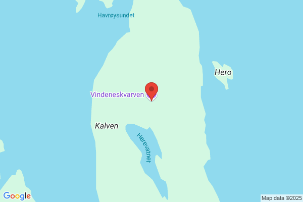 Vindenes Th