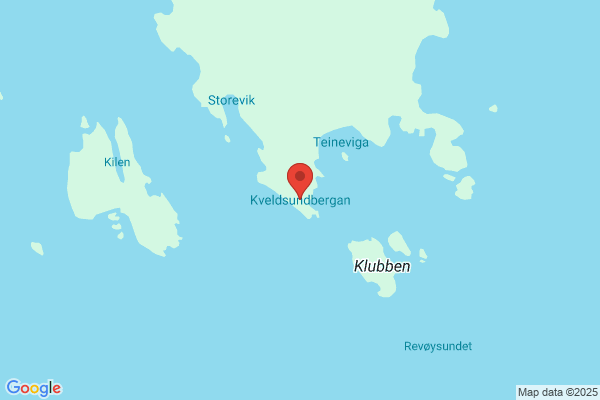 Kalleberg Morgan