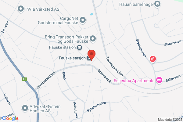 Fausketerminalen