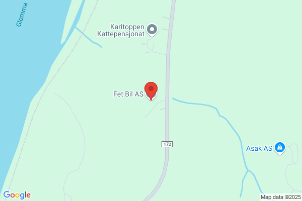 Auto Elektro A/s