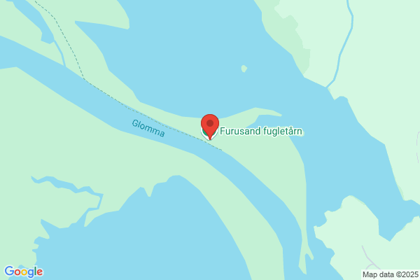Fugli Frank Og Sønn As