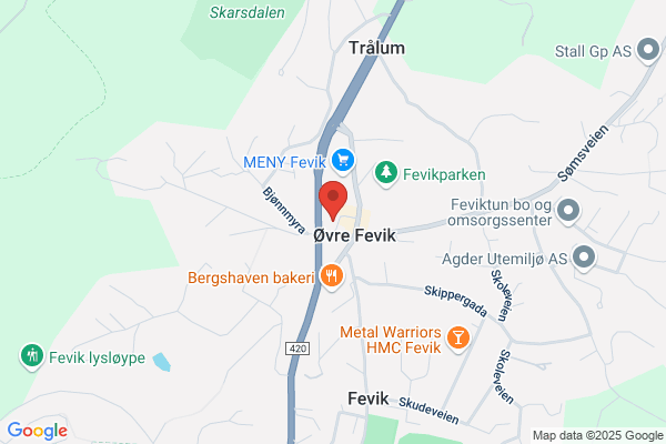 Frisongen As