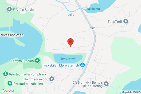 Søvik Trygve