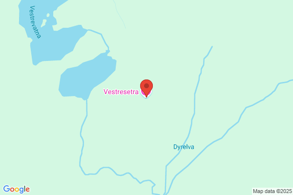 Vest-tre As