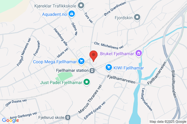 Linje Elektro As