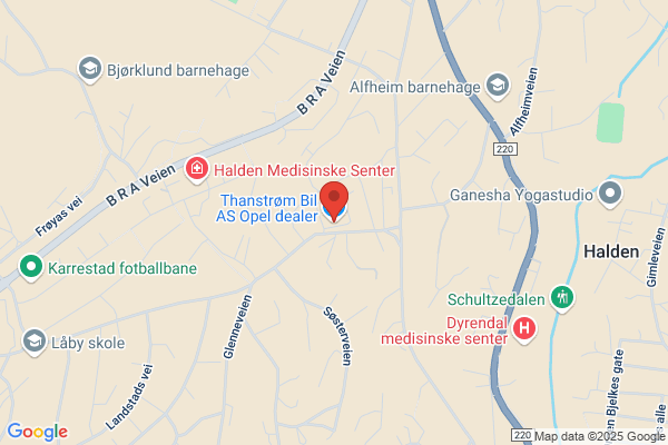 Berg Bil