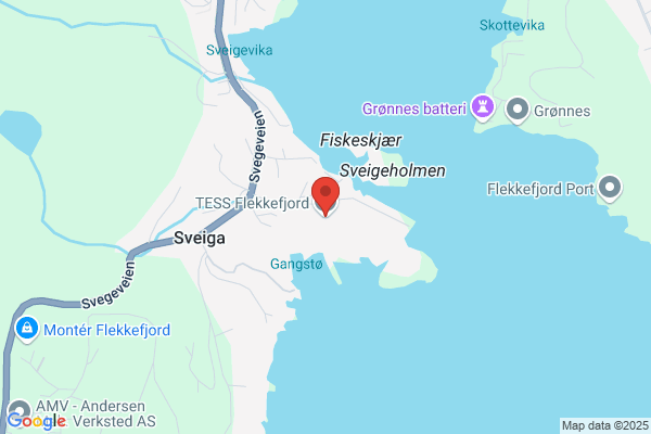 Tess Flekkefjord