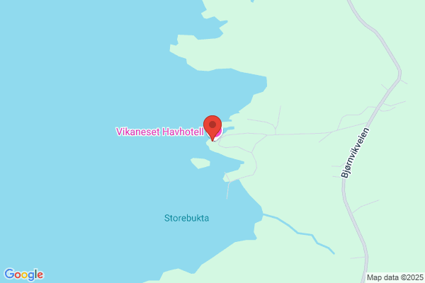 Vikaneset