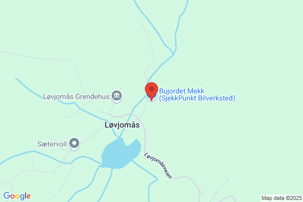 Bujordet Bil