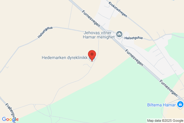 Hedemarken Dyreklinikk