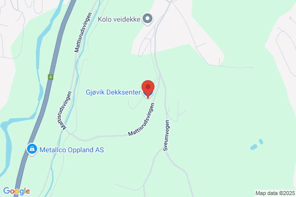 Dekkmann As