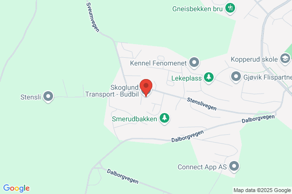 Skoglund Kåre Service