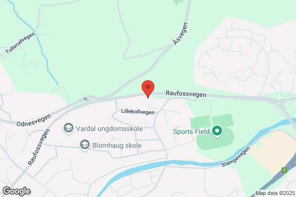 Bjerke Bjarne