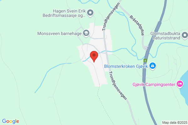 Bjerke Svein H