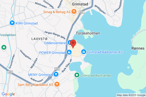 Floriss Tusenfryd Blomster As