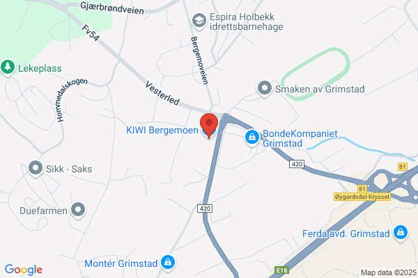 Kiwi Grimstad