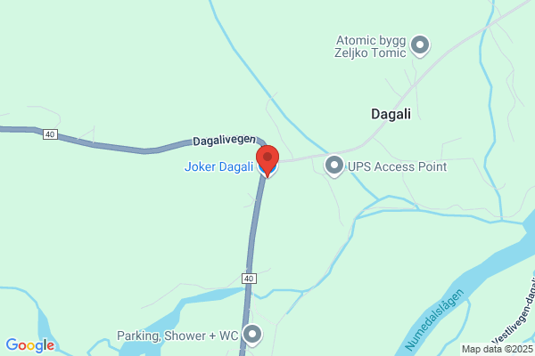 Dagali Handel