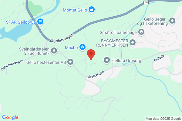 Geilo Turbusser As