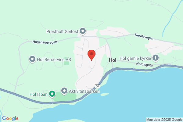 Hol Brannservice