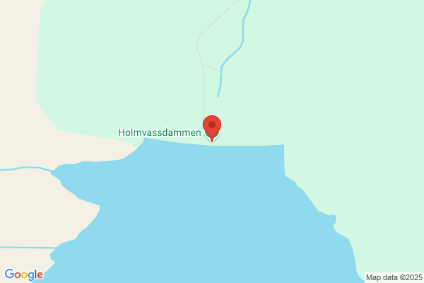 Via Flyspesialisten