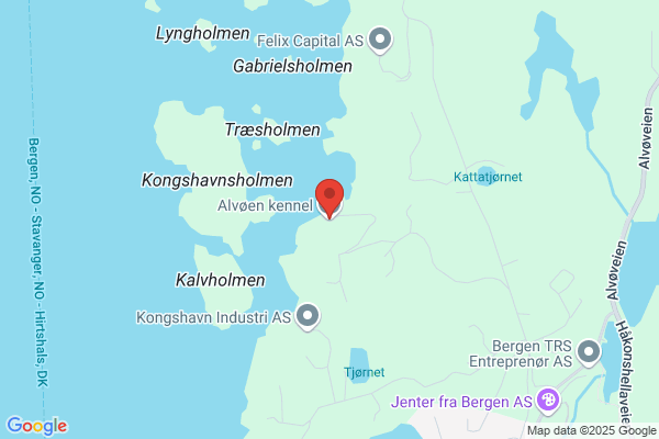 Alvøen Kennel