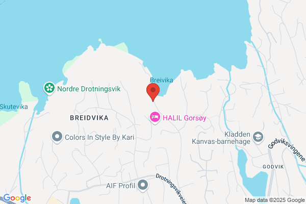 Villa Service og Antikvarisk Verksted