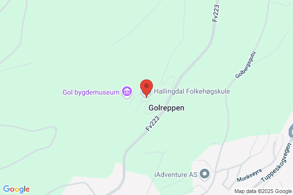 Hallingdal Næringshage AS