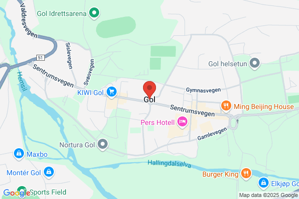 Gol Reisemål As