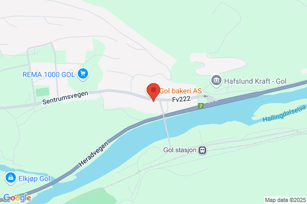 Gol Taxi Og Buss Ba