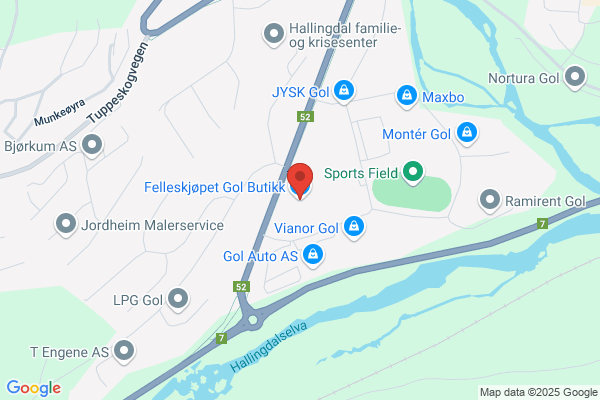 Hallingdal Økonomiservice As