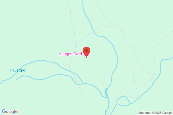 Haugen Overnatting