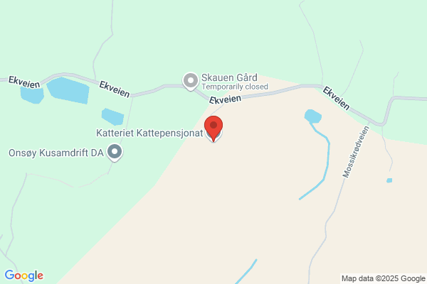 Katteriet Kattepensjonat