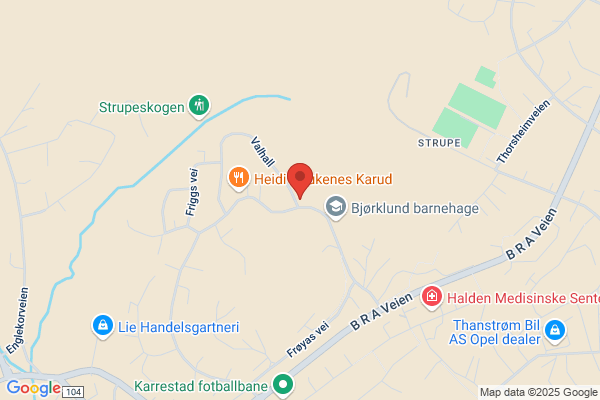 Murmesterne Haugen