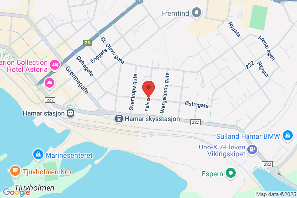 Factus Norge As