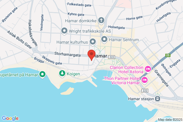 Kiropraktor Bergum