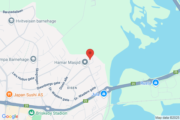 Mellomrommet Hamar, Eriksen