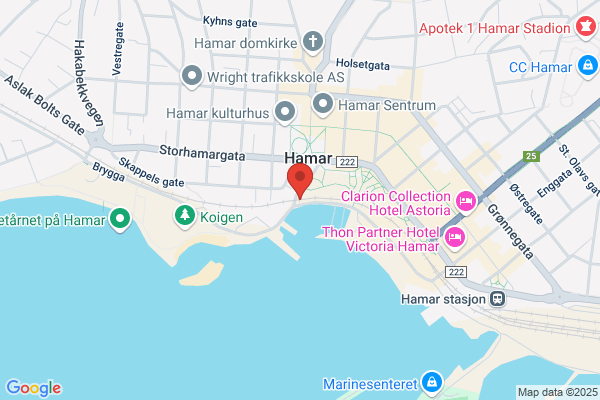 Anderssen + Fremming Sivilarkitekter Mnal As