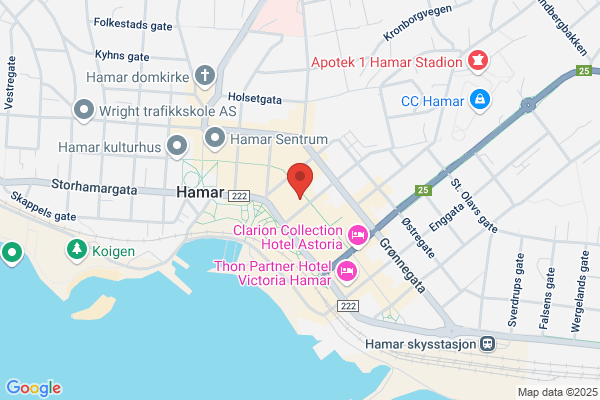 Arkitektstudio Hamar A/s
