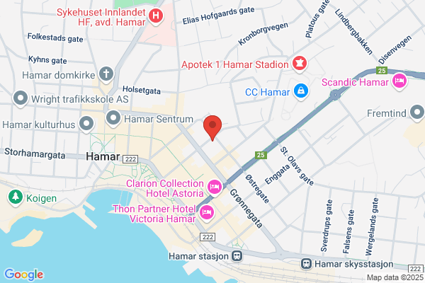 Salong Gullhår