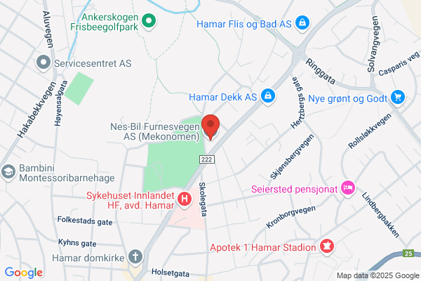 Hedmark Næringslivs Service A/s