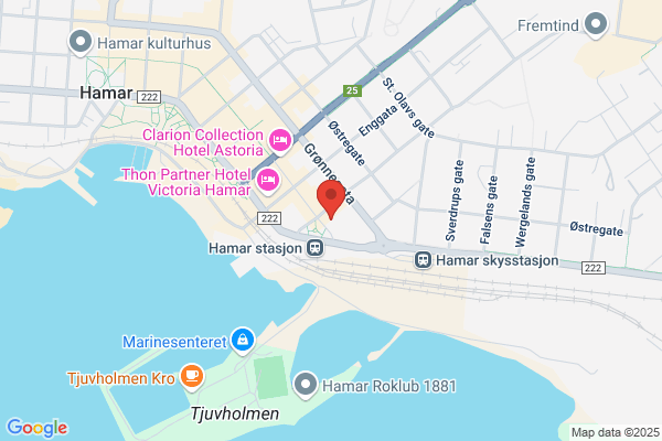 Virosafe Norge As