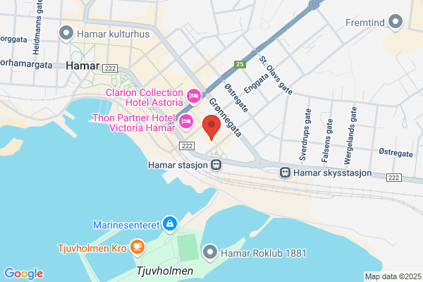 Hedmark Eiendom A/s