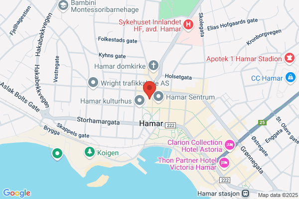 Handel Og Kontor Region Indre Østland
