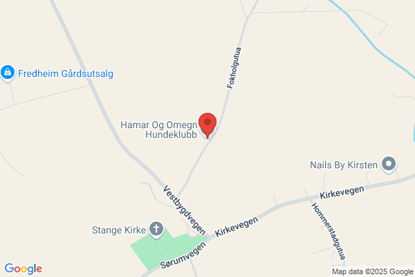 Hamar Og Omegn Helsesportlag