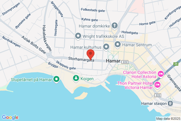 Bedriftshelsetjenesten Hedmark