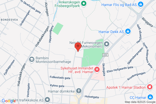 Helse ,- Miljø- Og Sikkerhetsenheten Hedmark Fylkeskommune