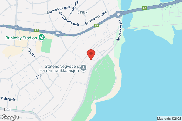 Hamar Vandrerhjem Vikingskipet