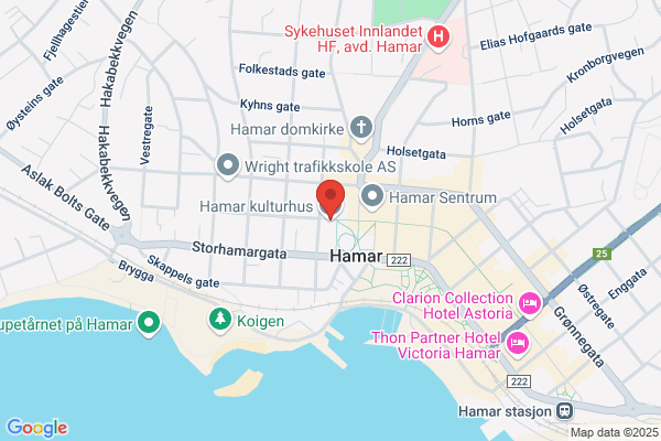 Hammerhus Hamar As